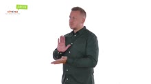 Dokumentum