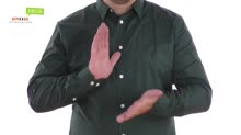 Dokumentum