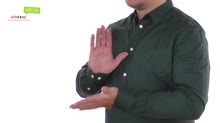 Dokumentum