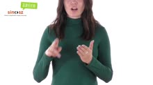 Elektronikus aláírás