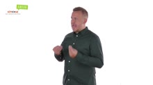 Engedély