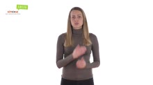 Törvény 2