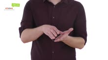 Másolat