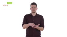 Másolat