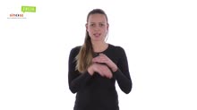 Megszökik, Megszökés, Szökés, Szökik