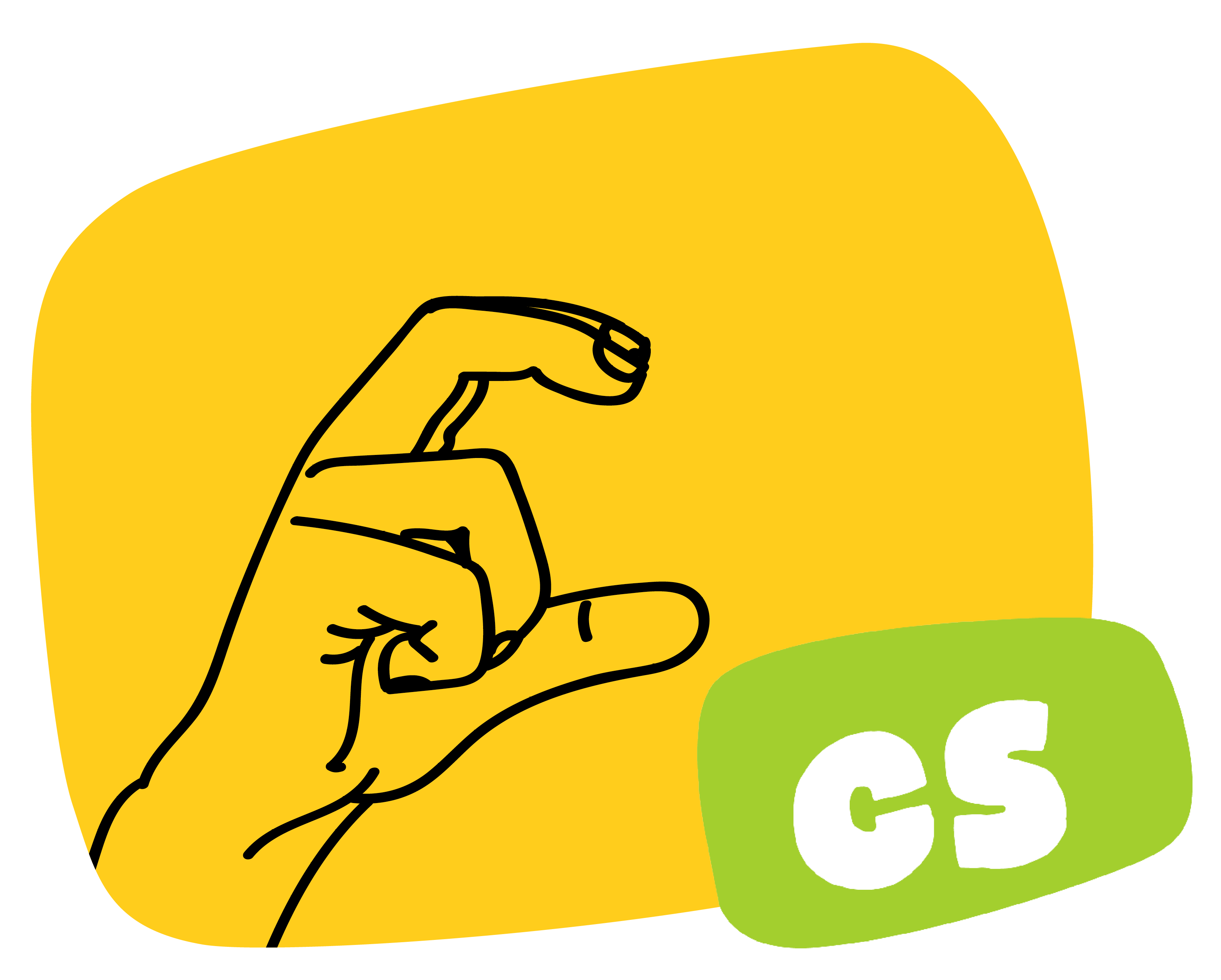CS