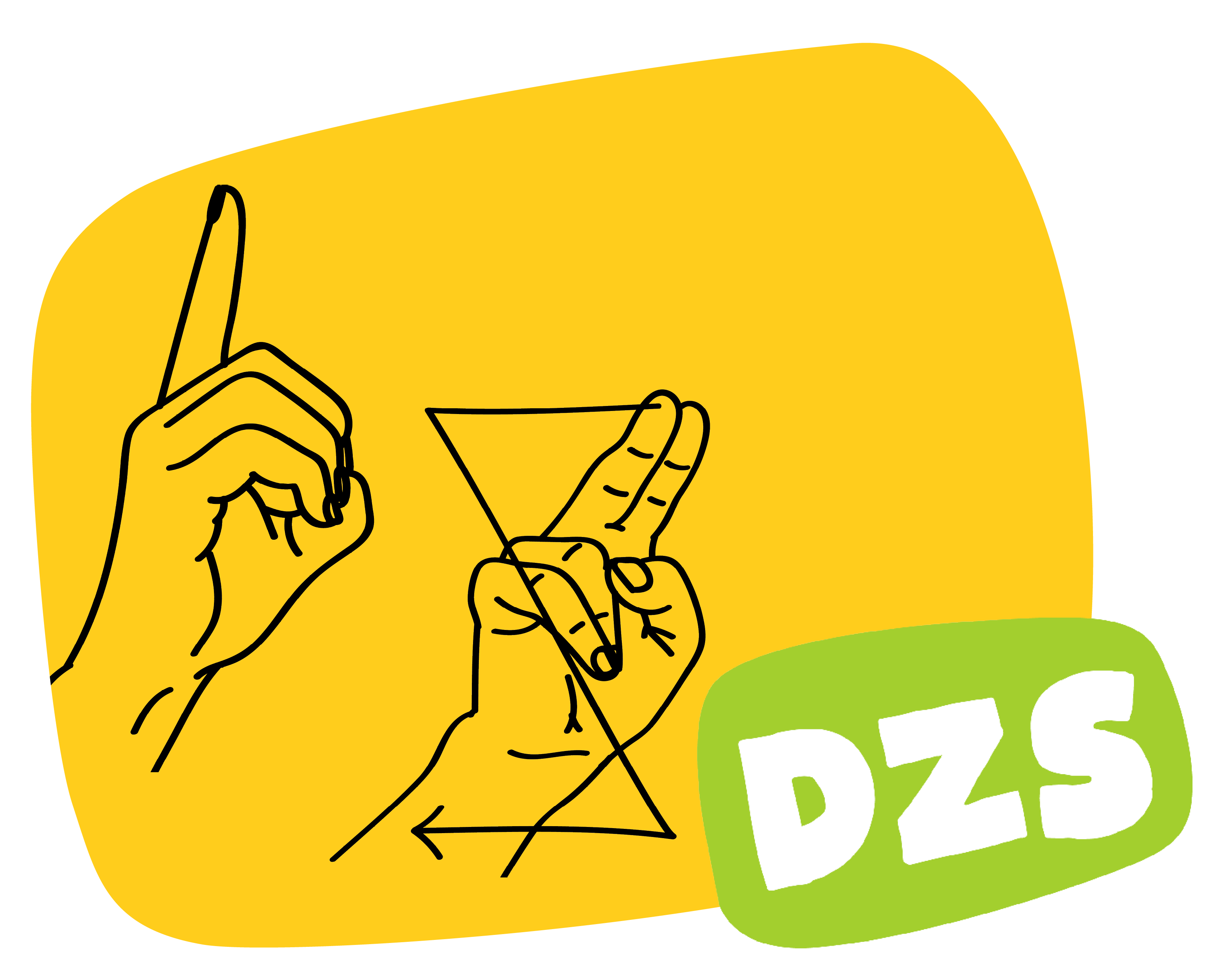 DZS