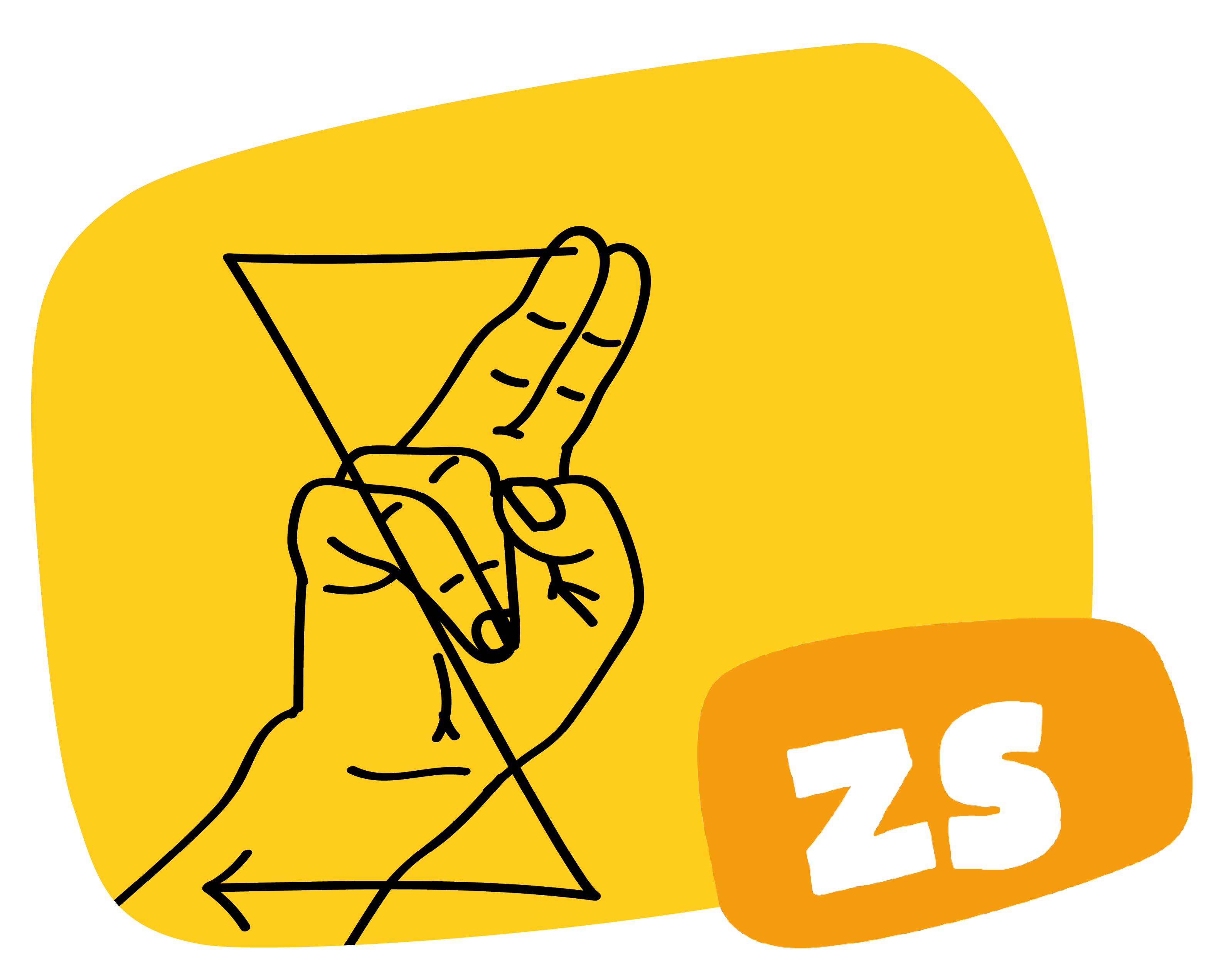 ZS